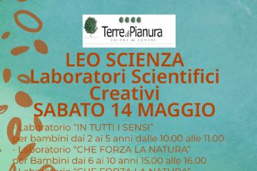 AGENDA DIGITALE LOCALE UNIONE DEI COMUNI TERRE DI PIANURA - Comune di  Malalbergo