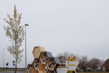 BEE HOTEL MALALBERGO